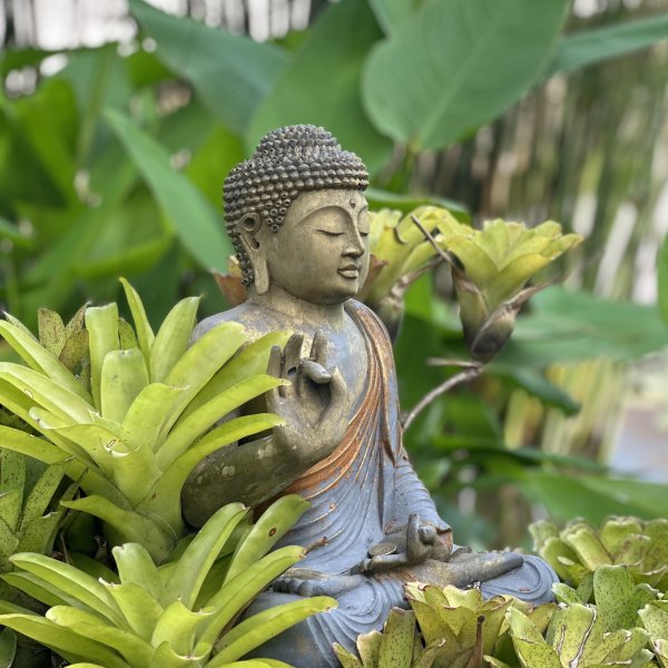 bali yoga retreat yttc