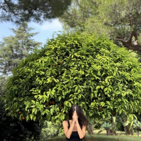 Yoga Retreat